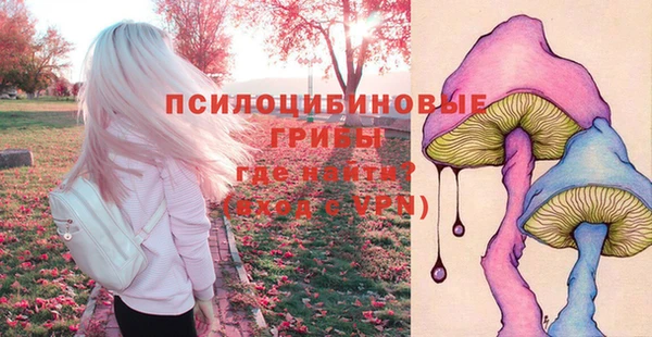 дживик Алексеевка