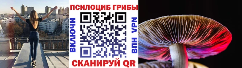 Псилоцибиновые грибы прущие грибы  как найти наркотики  Алупка 